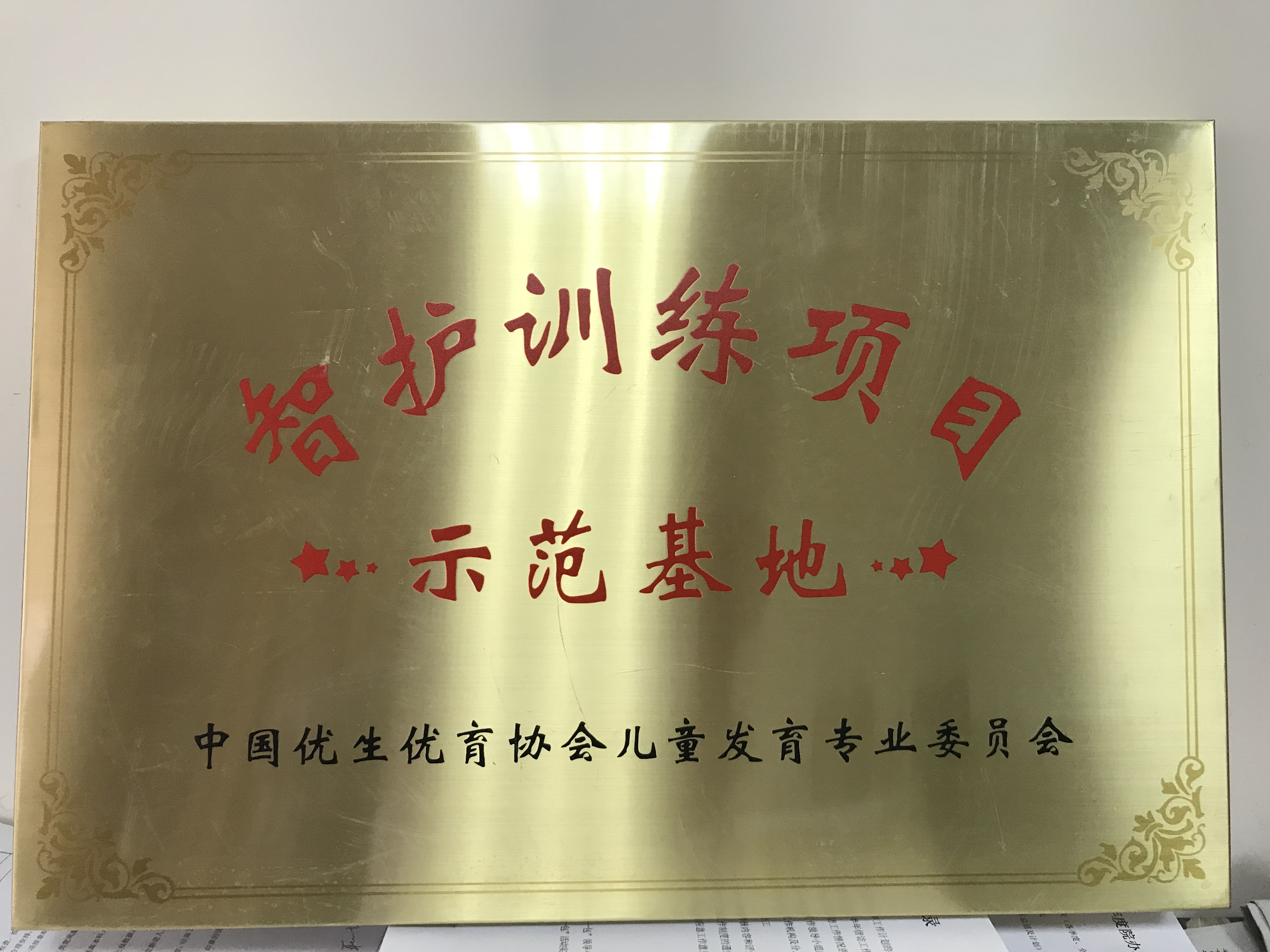 C:\Users\Administrator\Desktop\all\4雜項\其他\醫院榮譽\2018年榮譽獎牌（獎狀）照片\智護訓練項目示范基地.JPG